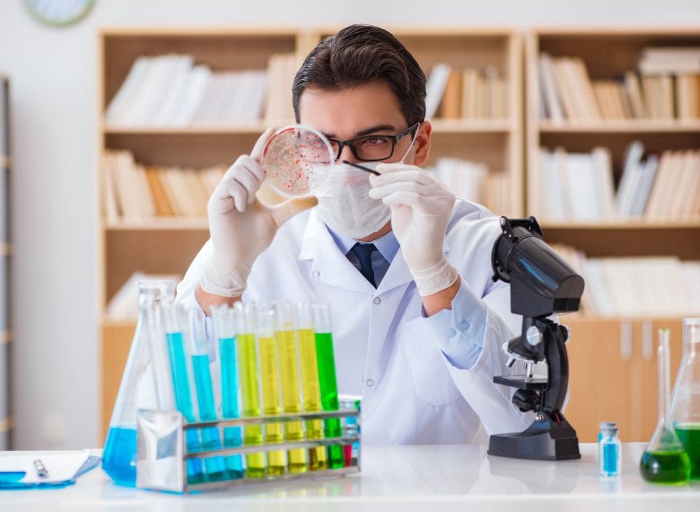 neurobiolog&iacute;a de la adicci&oacute;n