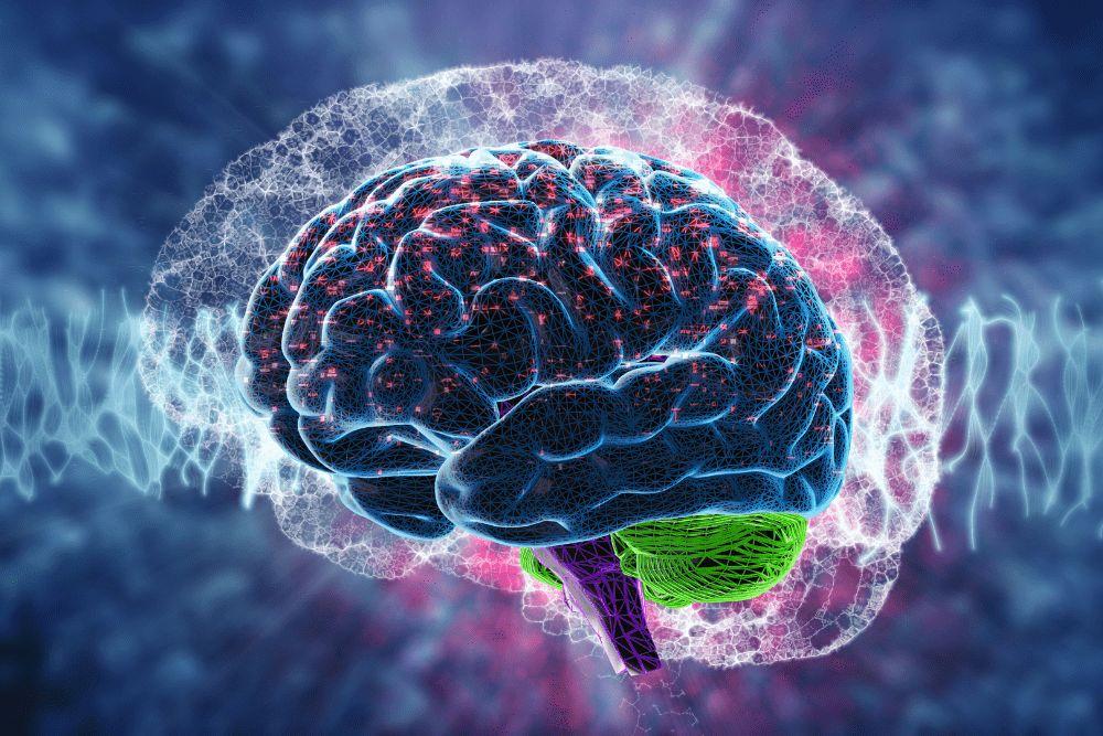 cerebro adicto